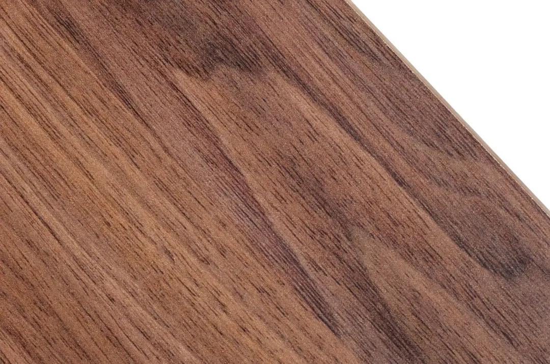 Asus — Photo 5